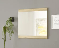 Bega-Gruppe Spiegel Nola