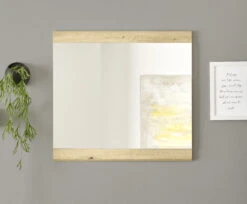 Bega-Gruppe Spiegel Nola 9 Bega-Gruppe Spiegel Nola -Heimtextilien 018272 nola gd 54 055 t2 frontal milieu