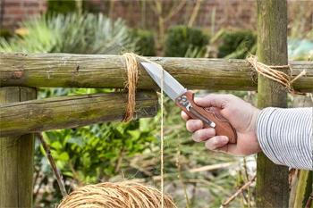 Kwb Kleines Klapp-Jagdmesser Mit Holzgriff 5 Kwb Kleines Klapp-Jagdmesser Mit Holzgriff – Bild 3