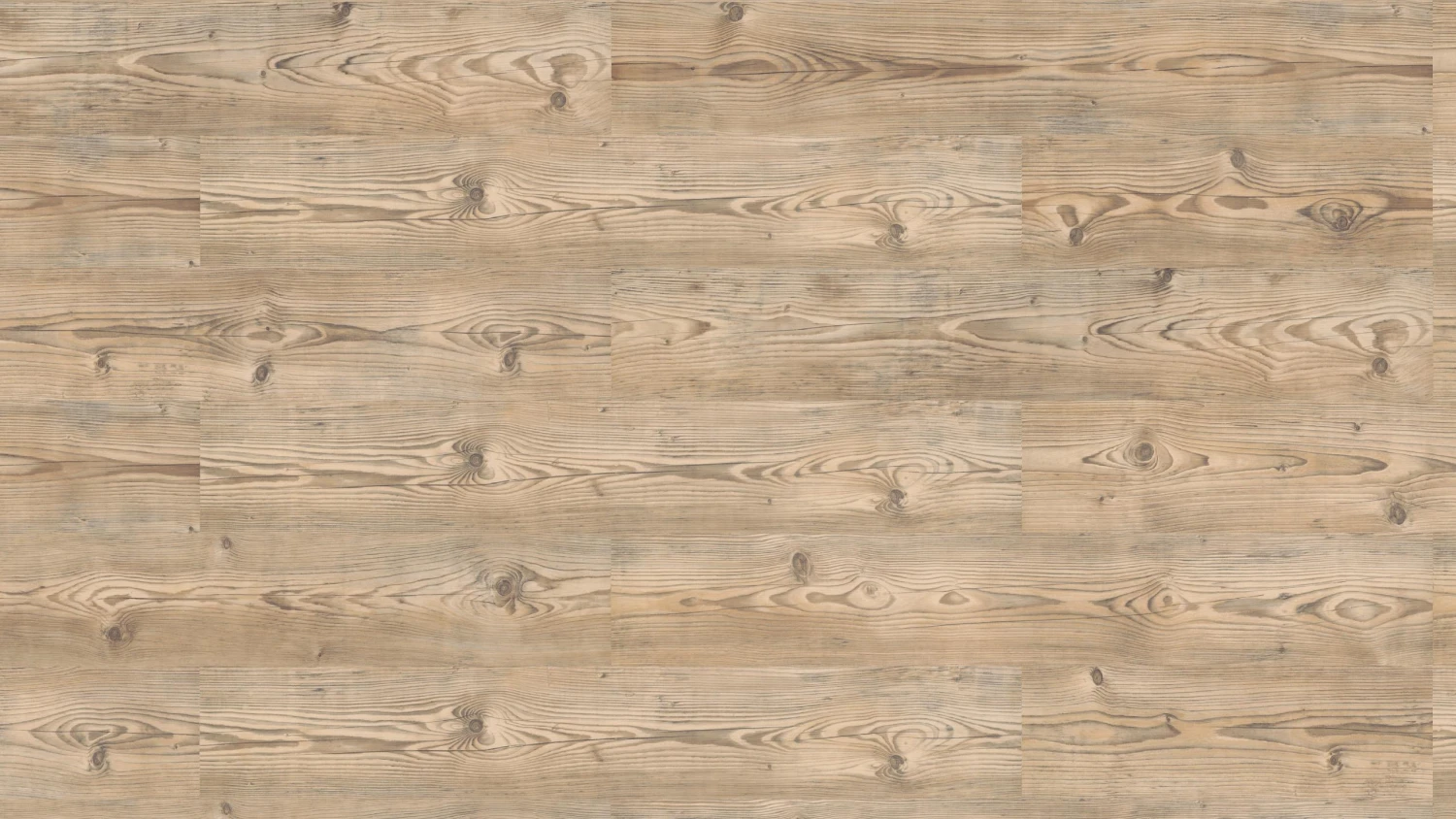 Classen Laminatboden Fichte Braun 5 Classen Laminatboden Fichte Braun – Bild 3