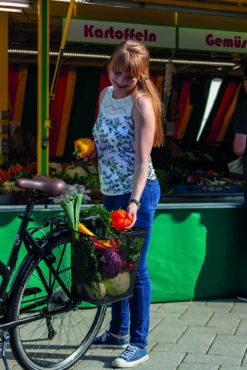 Prophete Fahrrad Einkaufskorb Mit Rollen 27 Prophete Fahrrad Einkaufskorb Mit Rollen -Heimtextilien 317739 11