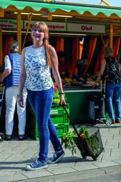 Prophete Fahrrad Einkaufskorb Mit Rollen 29 Prophete Fahrrad Einkaufskorb Mit Rollen -Heimtextilien 317739 13