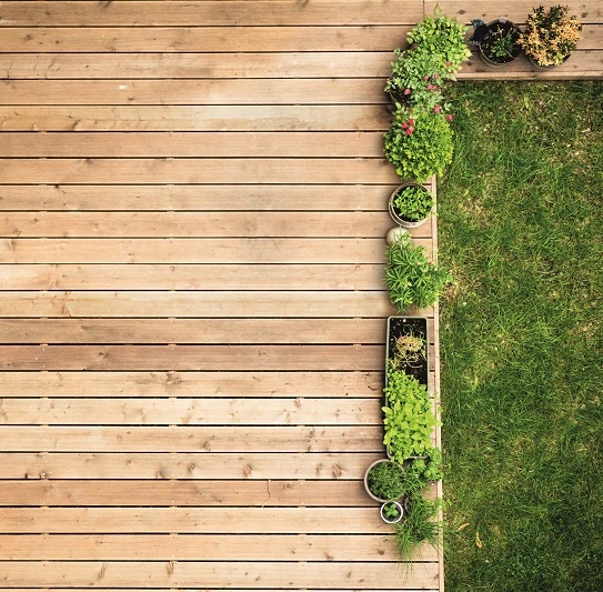 Alpina Entgrauer & Reiniger, 1L 6 Alpina Entgrauer & Reiniger, 1L – Bild 4