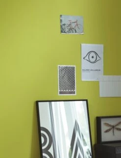 Alpina Farbrezepte Frühlingswiese, 2,5L -Heimtextilien 4001244730261 3