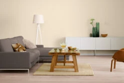 Alpina Farbrezepte Sanftes Cashmere, 2,5L -Heimtextilien 4001244730773 2