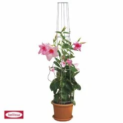 Bellissa Aktions-Ranksäule, 80cm