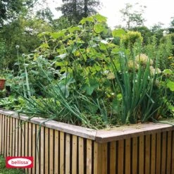 Bellissa Gemüse- Und Gurkengitter, 77x121cm -Heimtextilien 583109 5