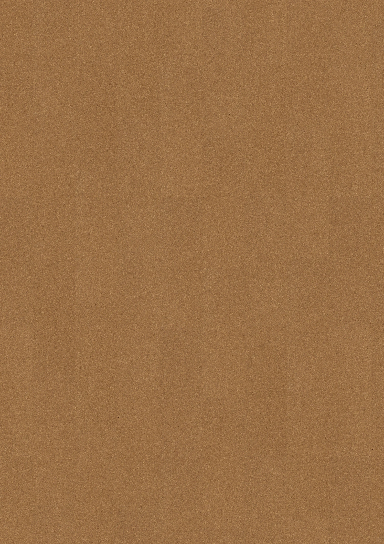 Amorim Korkboden Corklife Beja 3 Amorim Korkboden Corklife Beja