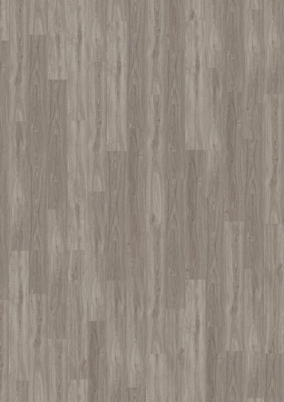 Amorim Vinylboden Dark Grey Oak 5 Amorim Vinylboden Dark Grey Oak – Bild 3