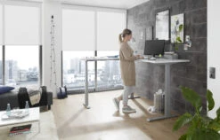 Bega-Gruppe Eck-Schreibtisch Tom II -Heimtextilien 828180 tom ii eckschreibtisch lichtgrau grau milieu hoch 2 39 261 g0umvklfetofxwu